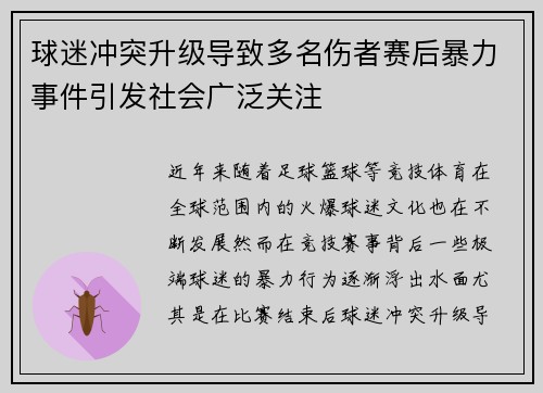 球迷冲突升级导致多名伤者赛后暴力事件引发社会广泛关注