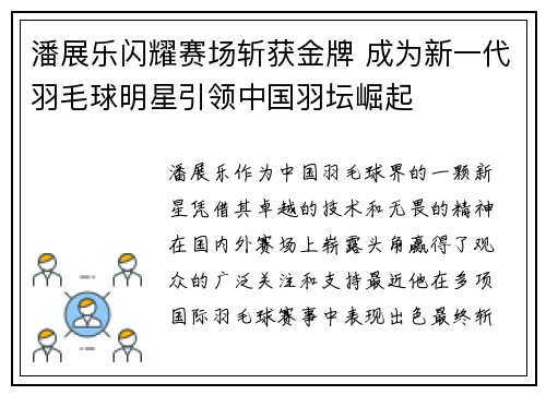 潘展乐闪耀赛场斩获金牌 成为新一代羽毛球明星引领中国羽坛崛起